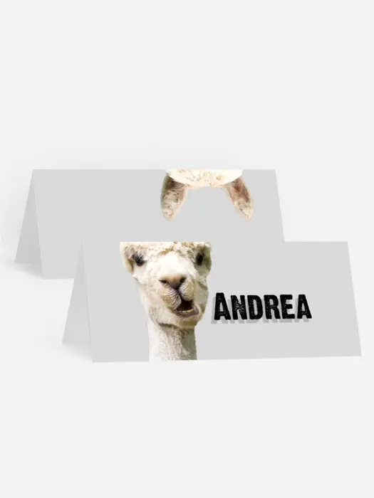 Tischkarte Geburtstag Einladung vom Lama