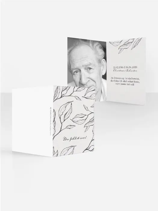 Product preview